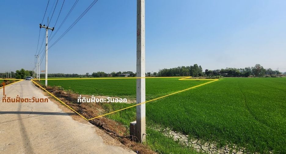 ขาย ที่ดิน ใน บางไทร, พระนครศรีอยุธยา