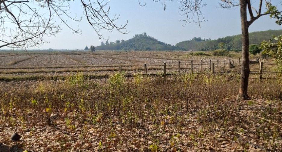 For sale land in Thoeng, Chiang Rai