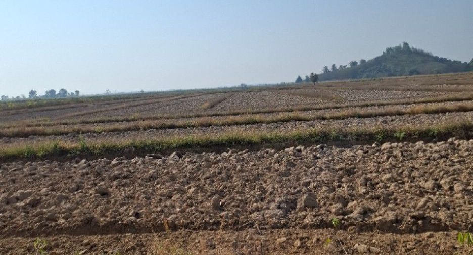 For sale land in Thoeng, Chiang Rai