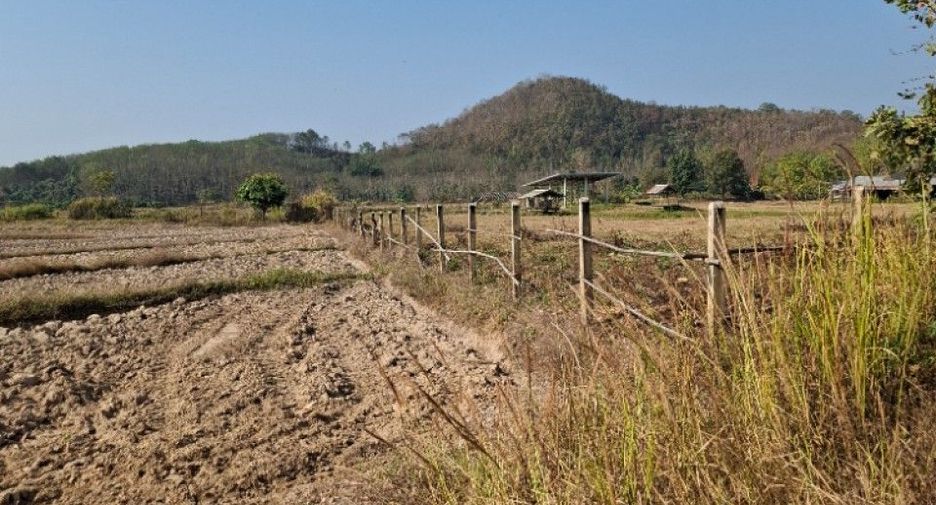 For sale land in Thoeng, Chiang Rai