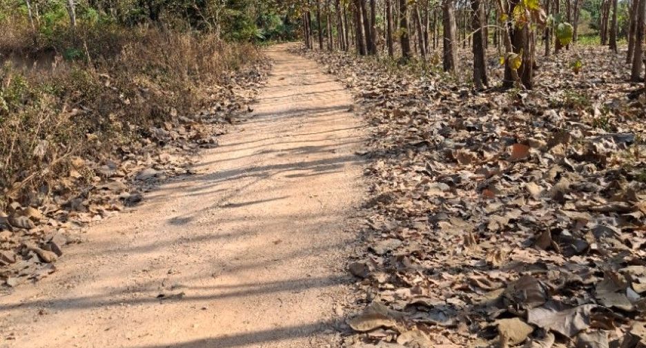 For sale land in Thoeng, Chiang Rai