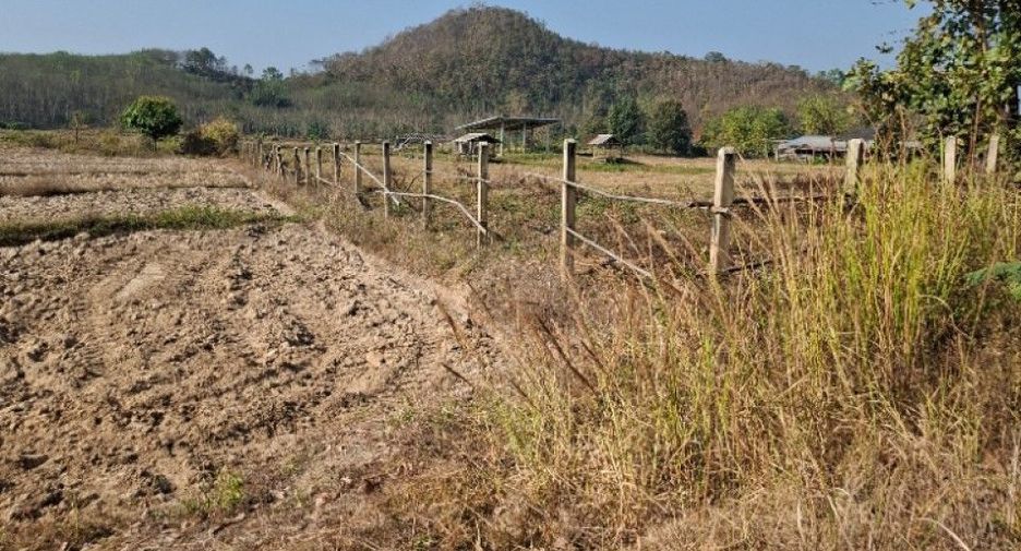 For sale land in Thoeng, Chiang Rai