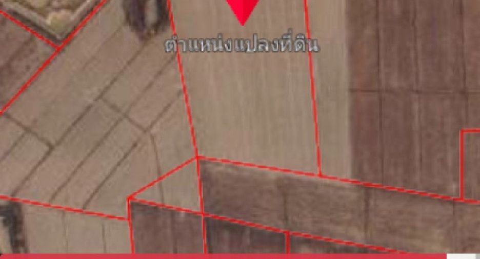 For sale land in Thoeng, Chiang Rai