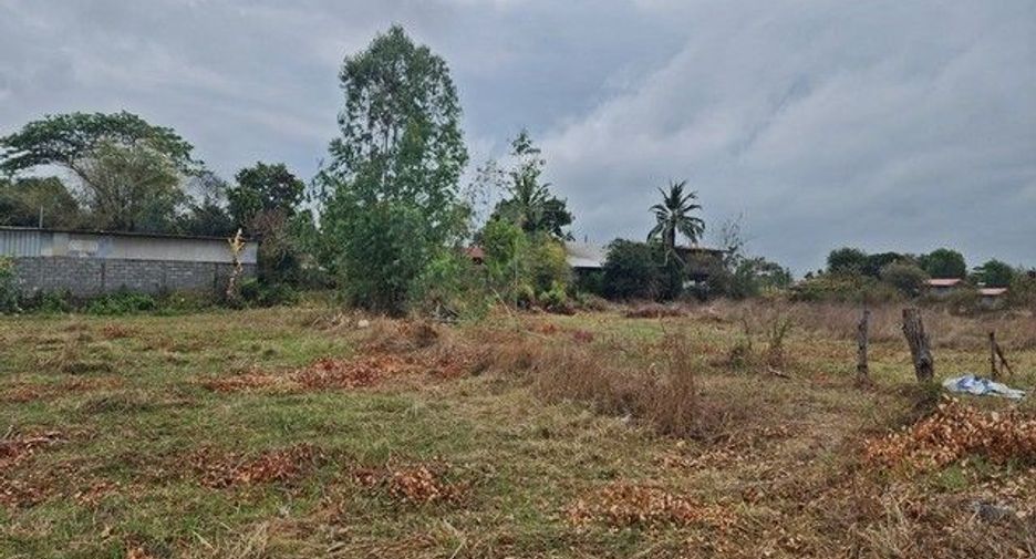 For sale land in Phang Khon, Sakon Nakhon