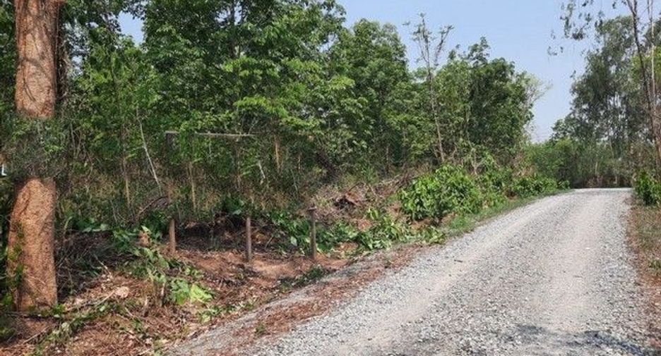 For sale land in Mueang Loei, Loei