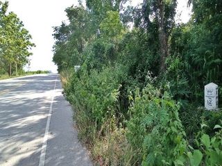 ขาย ที่ดิน ใน เมืองเลย, เลย