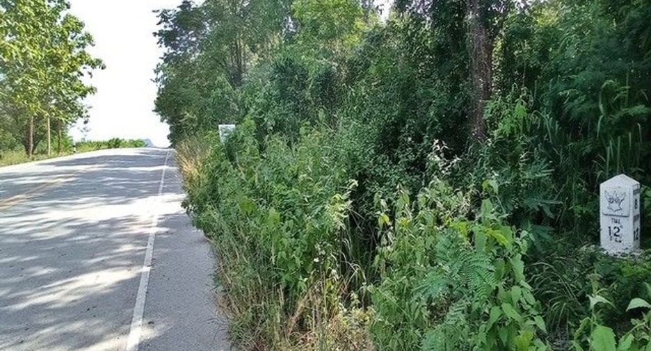 For sale land in Mueang Loei, Loei