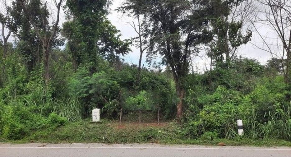 For sale land in Mueang Loei, Loei