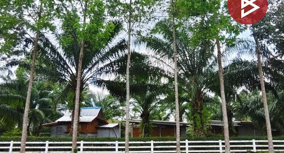 For sale land in Mueang Nakhon Si Thammarat, Nakhon Si Thammarat