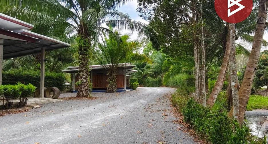 For sale land in Mueang Nakhon Si Thammarat, Nakhon Si Thammarat