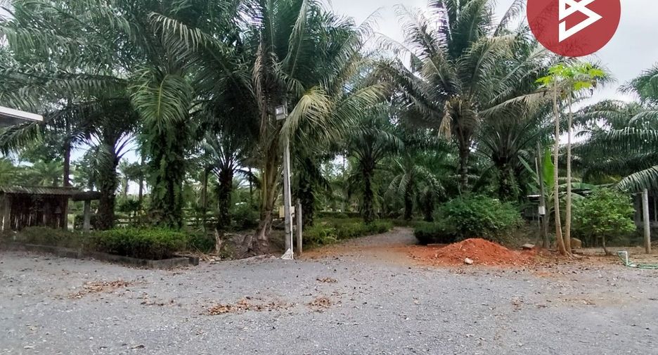 For sale land in Mueang Nakhon Si Thammarat, Nakhon Si Thammarat