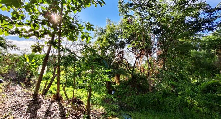 À vendre terrain à Ongkharak, Nakhon Nayok