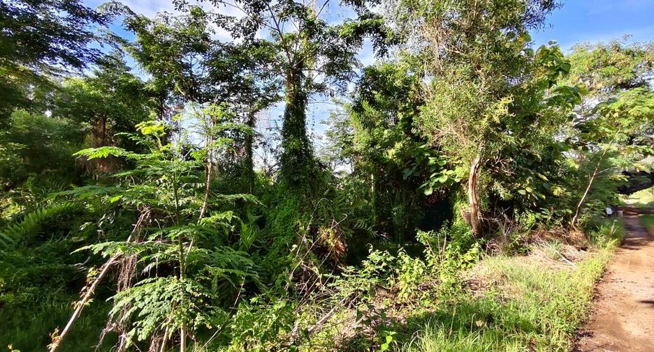 À vendre terrain à Ongkharak, Nakhon Nayok