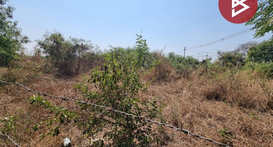 For sale land in Mueang Kamphaeng Phet, Kamphaeng Phet