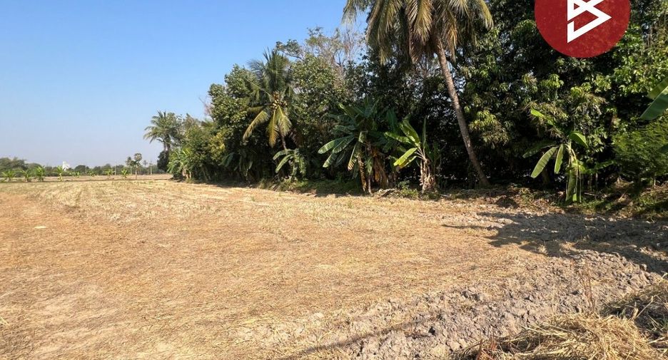 For sale land in Pak Tho, Ratchaburi