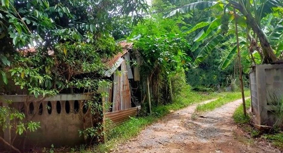 For sale land in At Samat, Roi Et
