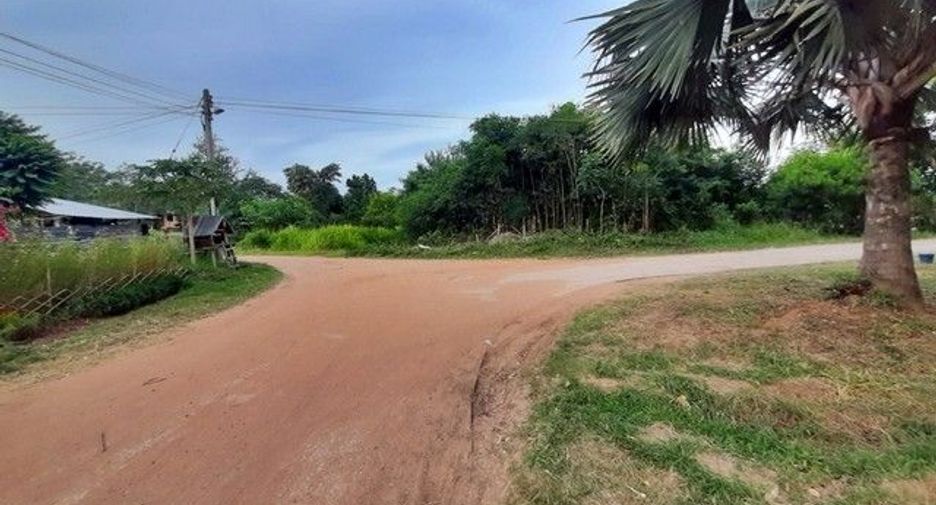 ขาย ที่ดิน ใน หนองบัวแดง, ชัยภูมิ