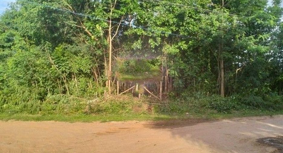 ขาย ที่ดิน ใน หนองบัวแดง, ชัยภูมิ