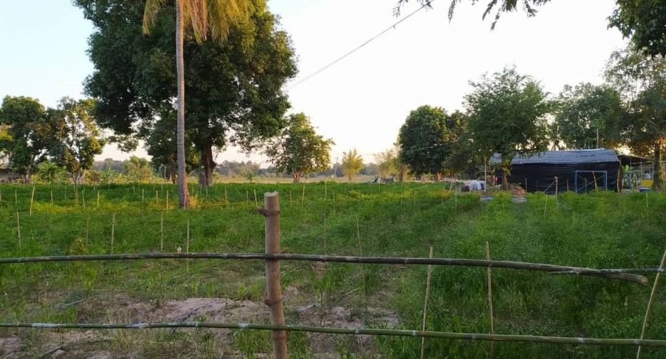 For sale land in Si Chiang Mai, Nong Khai