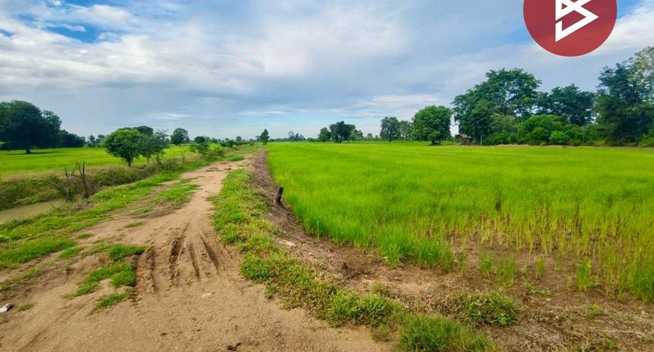 For sale land in Tha Tako, Nakhon Sawan