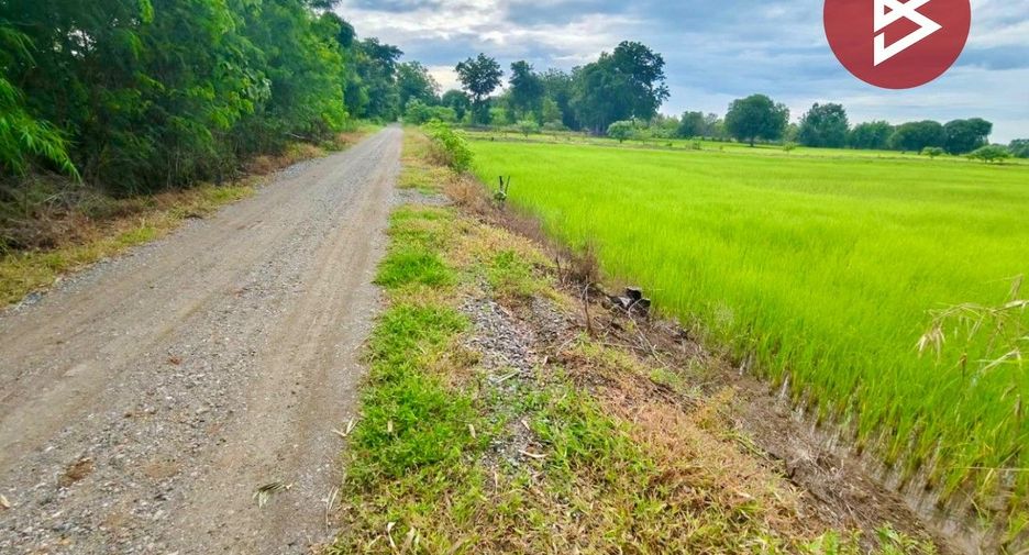 For sale land in Tha Tako, Nakhon Sawan