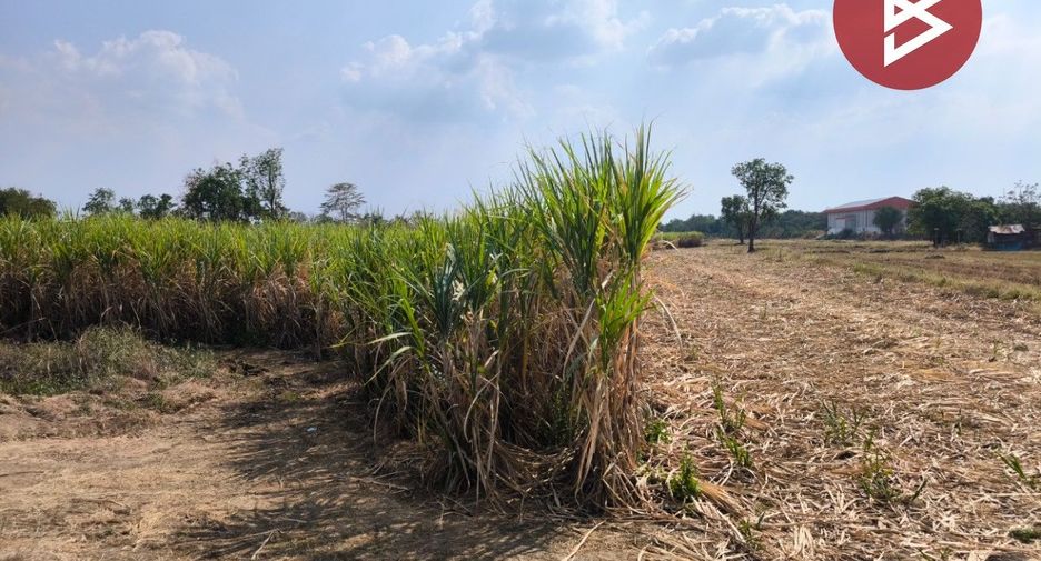 Grundstück zum Kauf in Si Thep, Phetchabun
