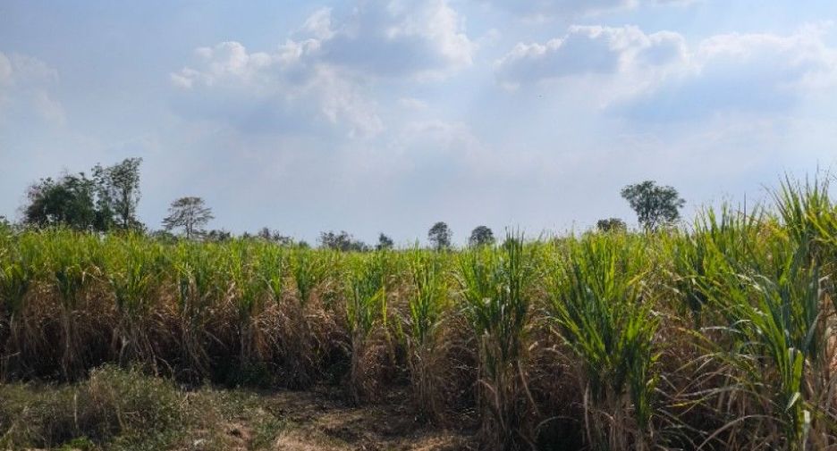 Grundstück zum Kauf in Si Thep, Phetchabun