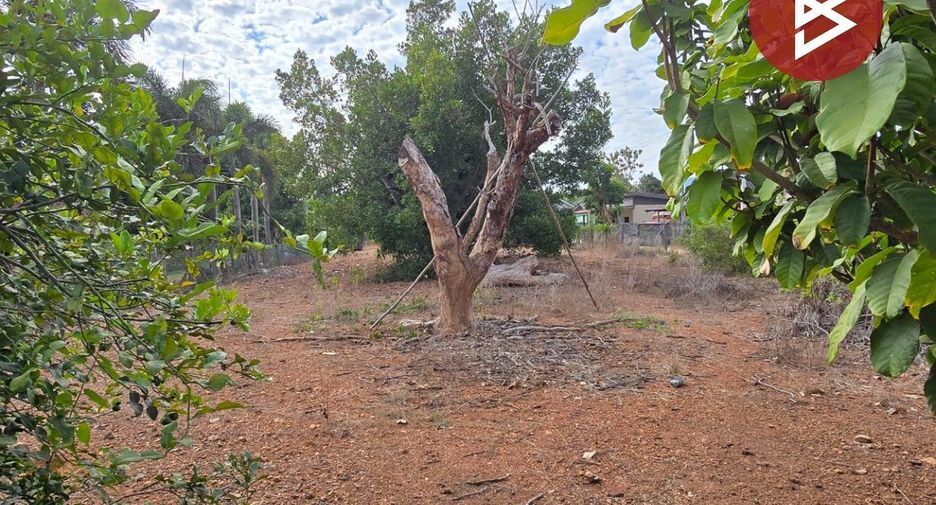 For sale land in Klaeng, Rayong