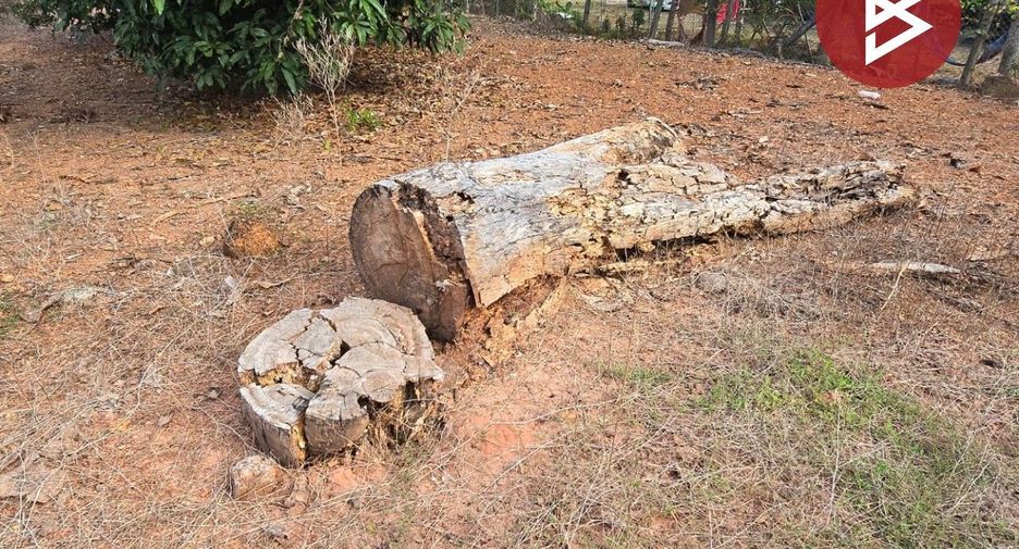 For sale land in Klaeng, Rayong