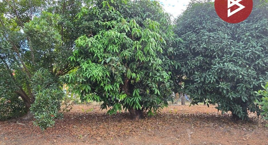 For sale land in Klaeng, Rayong