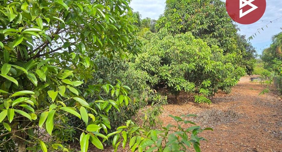 For sale land in Klaeng, Rayong