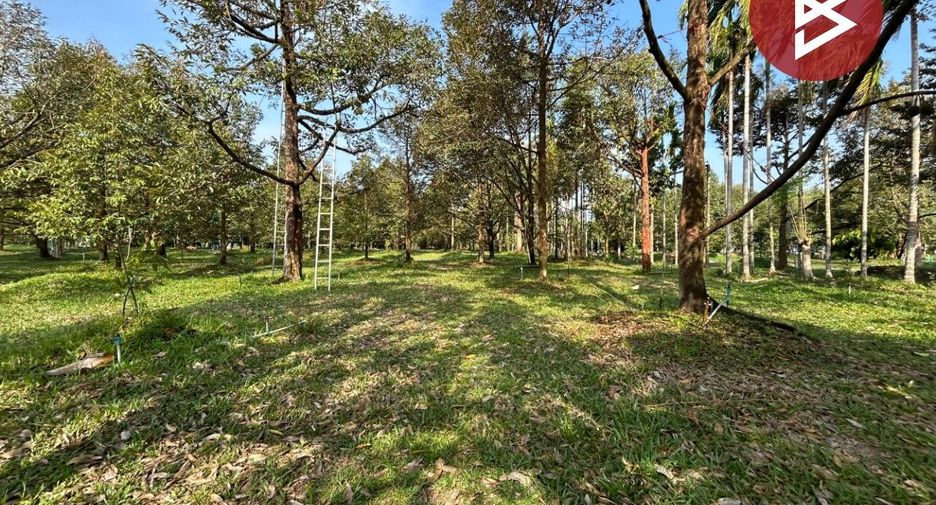 For sale land in Makham, Chanthaburi