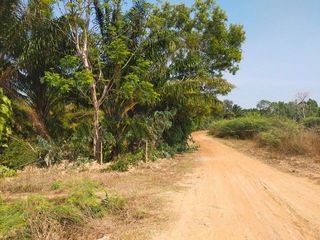 出售 土地 在 Sanom, Surin