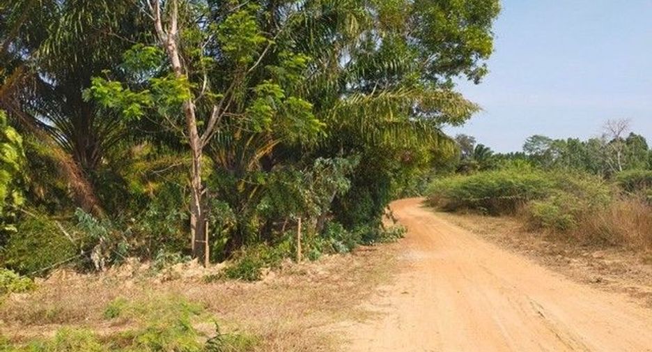 For sale land in Sanom, Surin