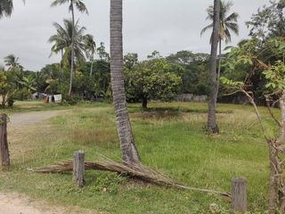 出售 土地 在 Sanom, Surin