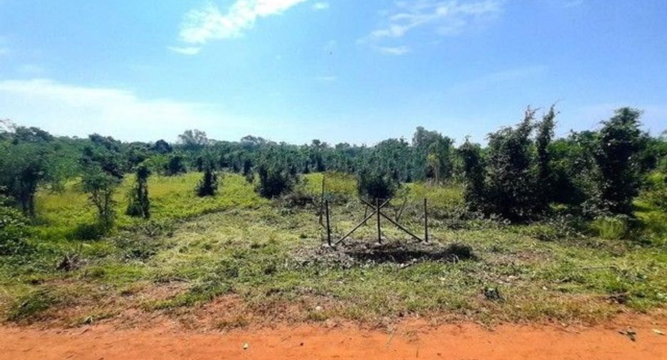 For sale land in Chok Chai, Nakhon Ratchasima