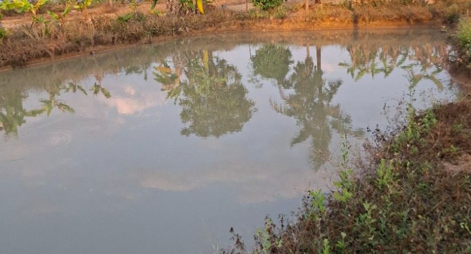 Grundstück zum Kauf in Thoeng, Chiang Rai