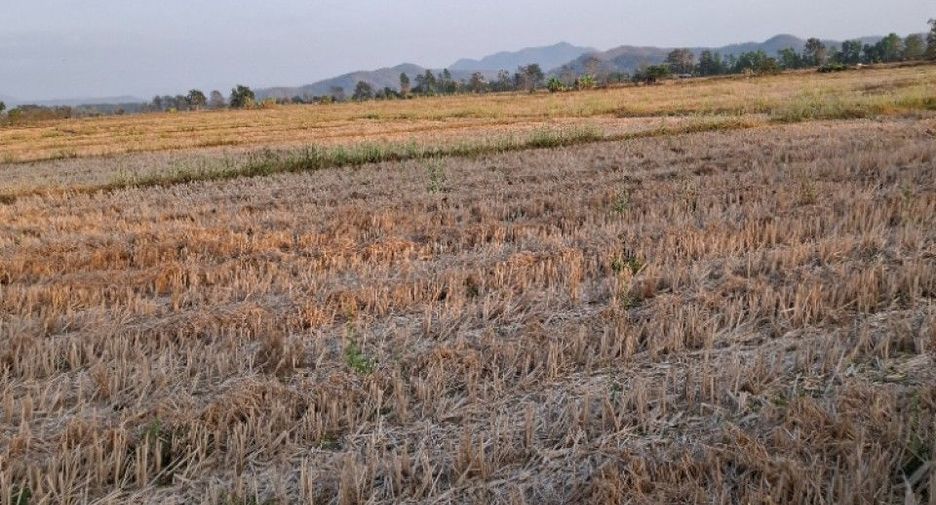 Grundstück zum Kauf in Thoeng, Chiang Rai