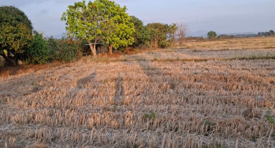 Grundstück zum Kauf in Thoeng, Chiang Rai