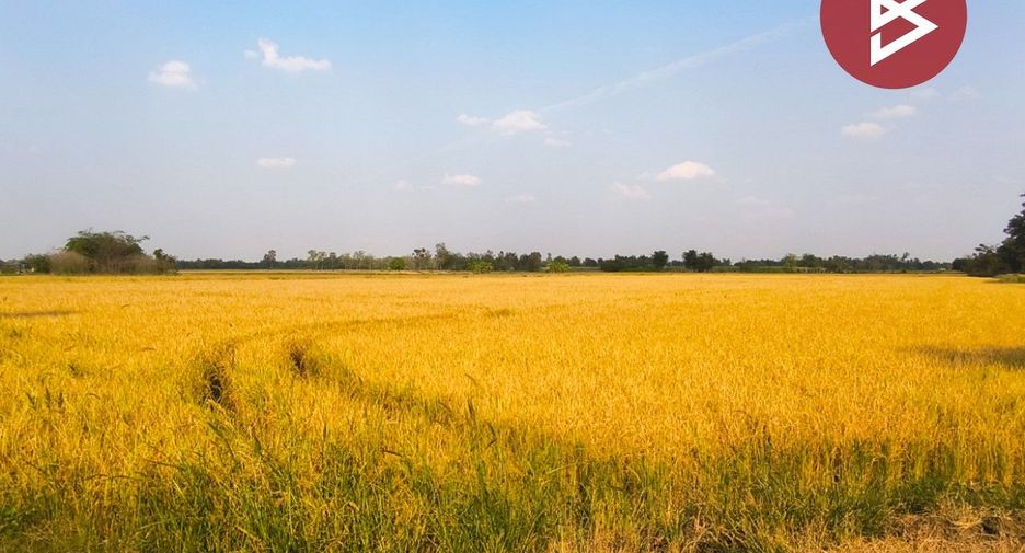 Продажа Участок в Si Thep, Phetchabun