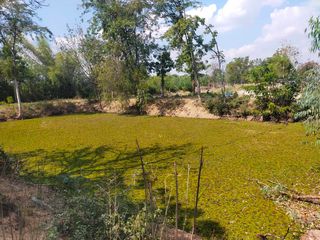 ขาย ที่ดิน ใน จอมบึง, ราชบุรี