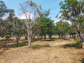 ขาย ที่ดิน ใน จอมบึง, ราชบุรี