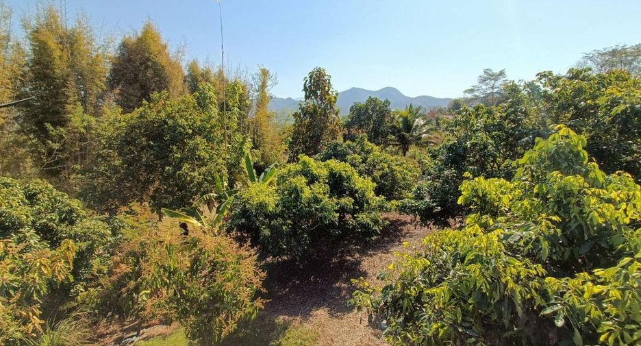 Casa en venta de 3 habitaciones en Pai, Mae Hong Son
