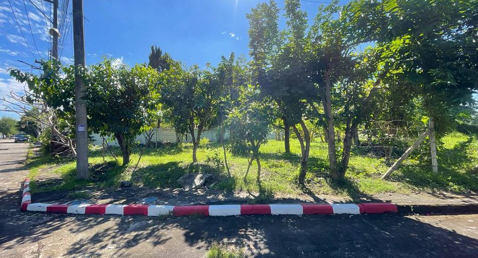 For sale land in Hang Dong, Chiang Mai