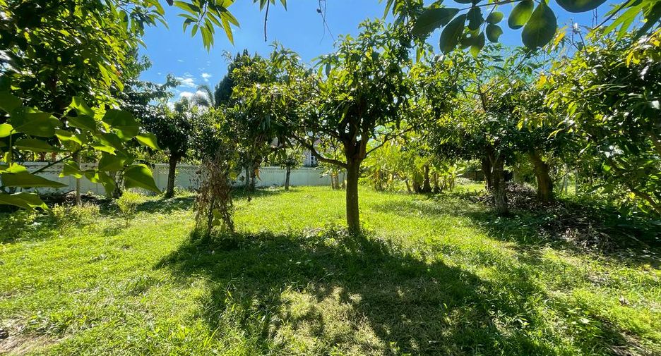 For sale land in Hang Dong, Chiang Mai