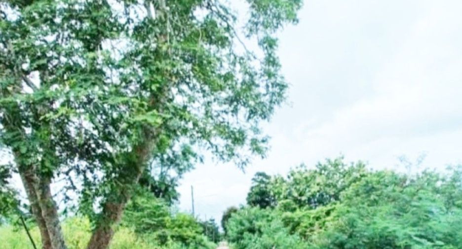 For sale land in Mueang Uttaradit, Uttaradit
