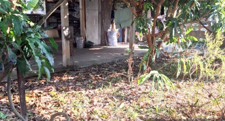 For sale 2 bedrooms house in Thoeng, Chiang Rai