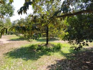 Terreno en venta en Khao Khitchakut, Chanthaburi