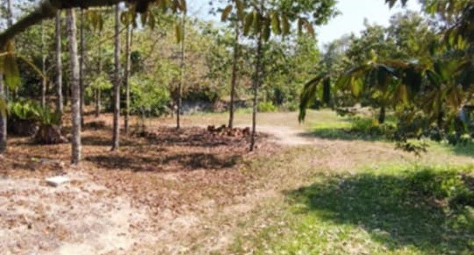 出售 土地 在 Khao Khitchakut, Chanthaburi