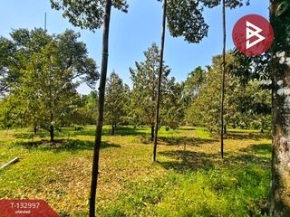 Terreno en venta en Khao Khitchakut, Chanthaburi
